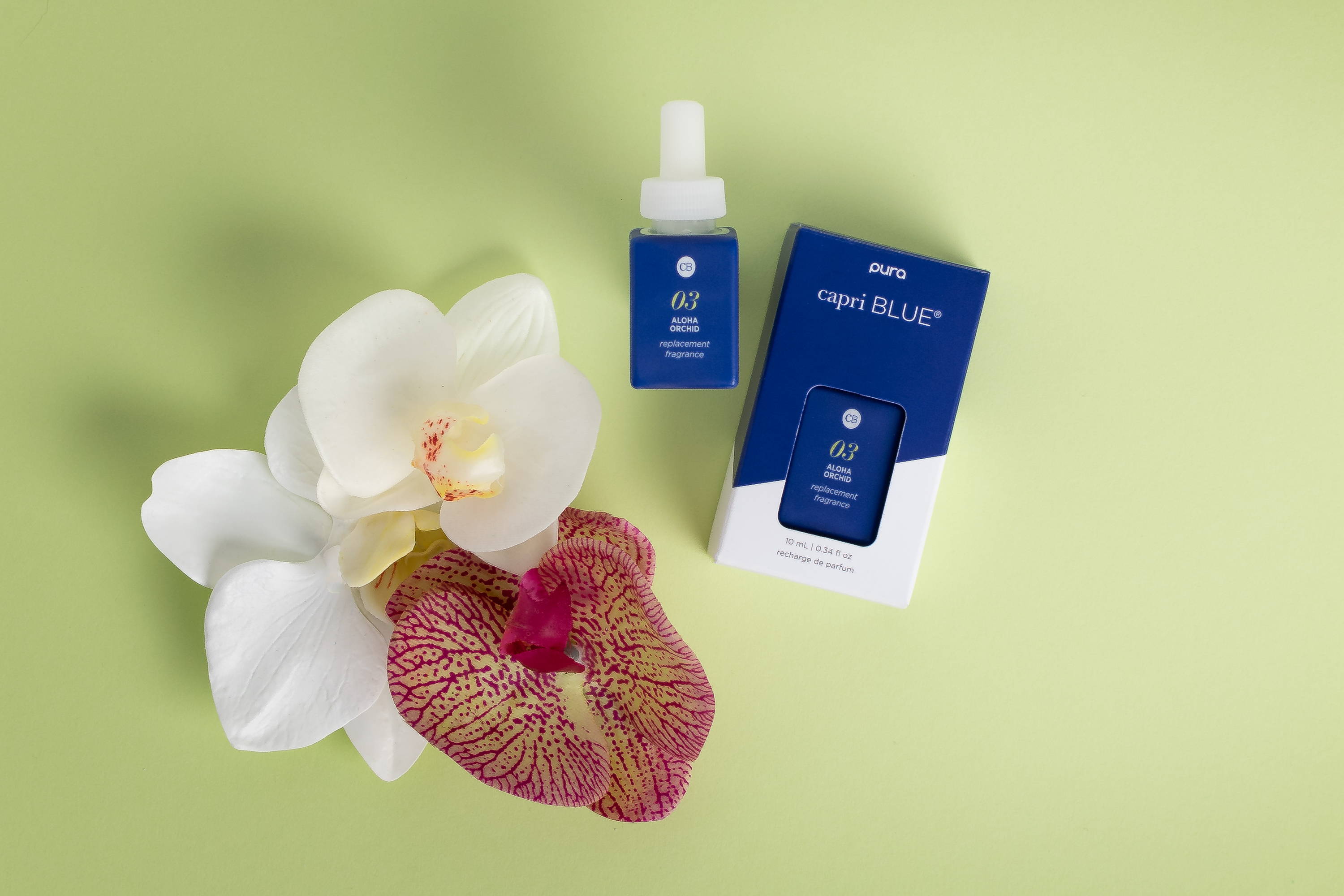 Aloha Orchid