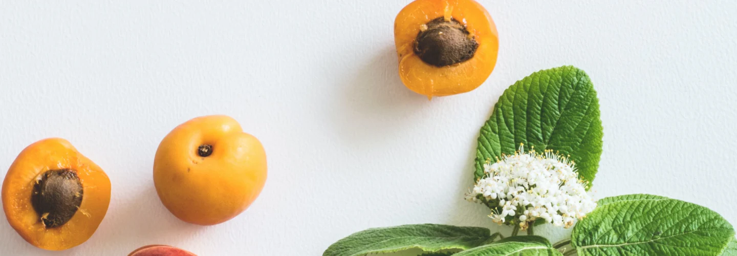 Fruits and leaves on a white background