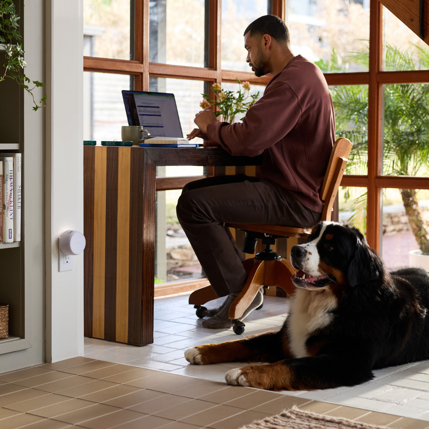 Man working from home with dog and Pura smart diffuser in a sunlit home office