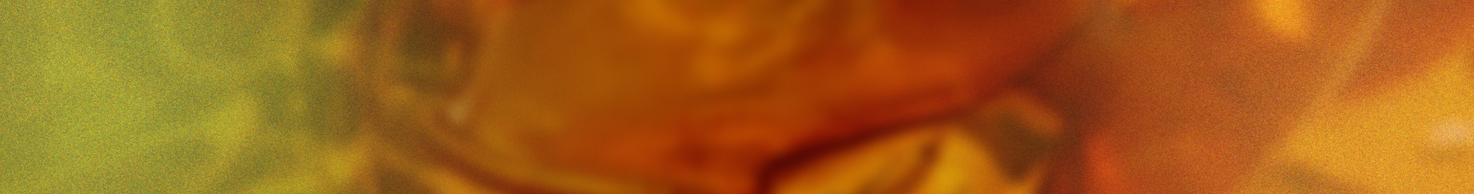 Promo Banner Desktop 2 6jp11j