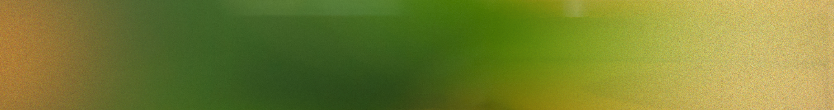 Promo Banner Desktop 2 6jp11j