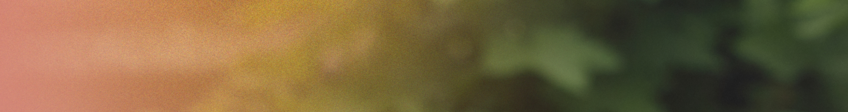 Promo Banner Desktop 2 6jp11j