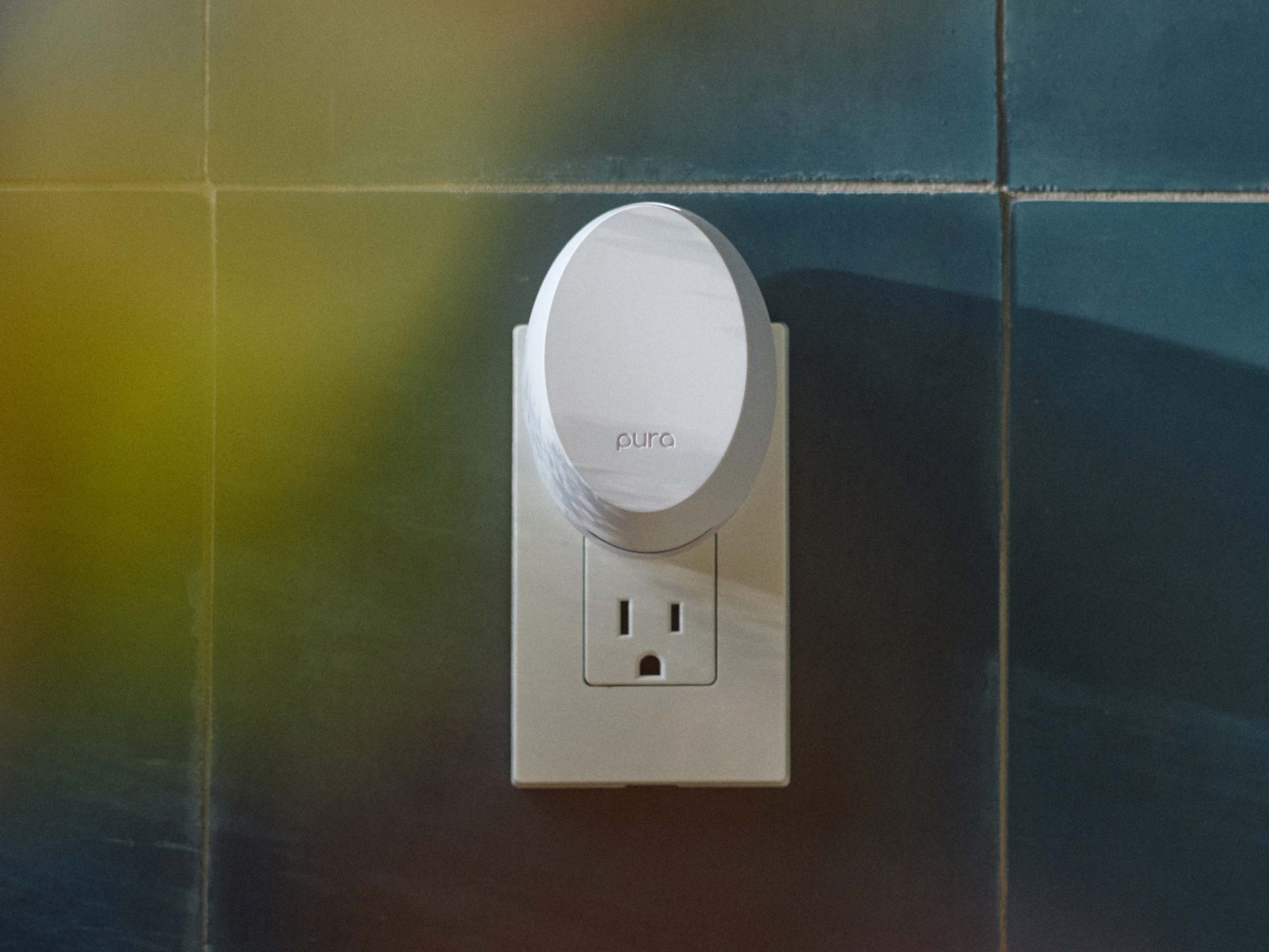 ScentsofPlace Landingpage Choice 1